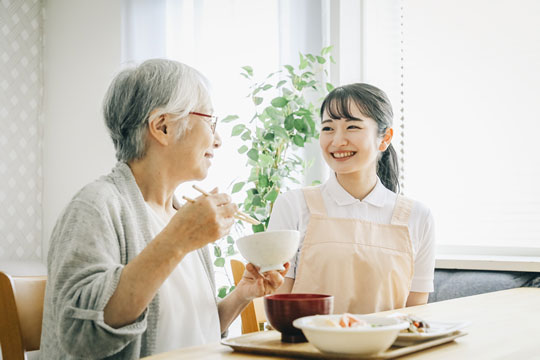 涼の杜の特徴